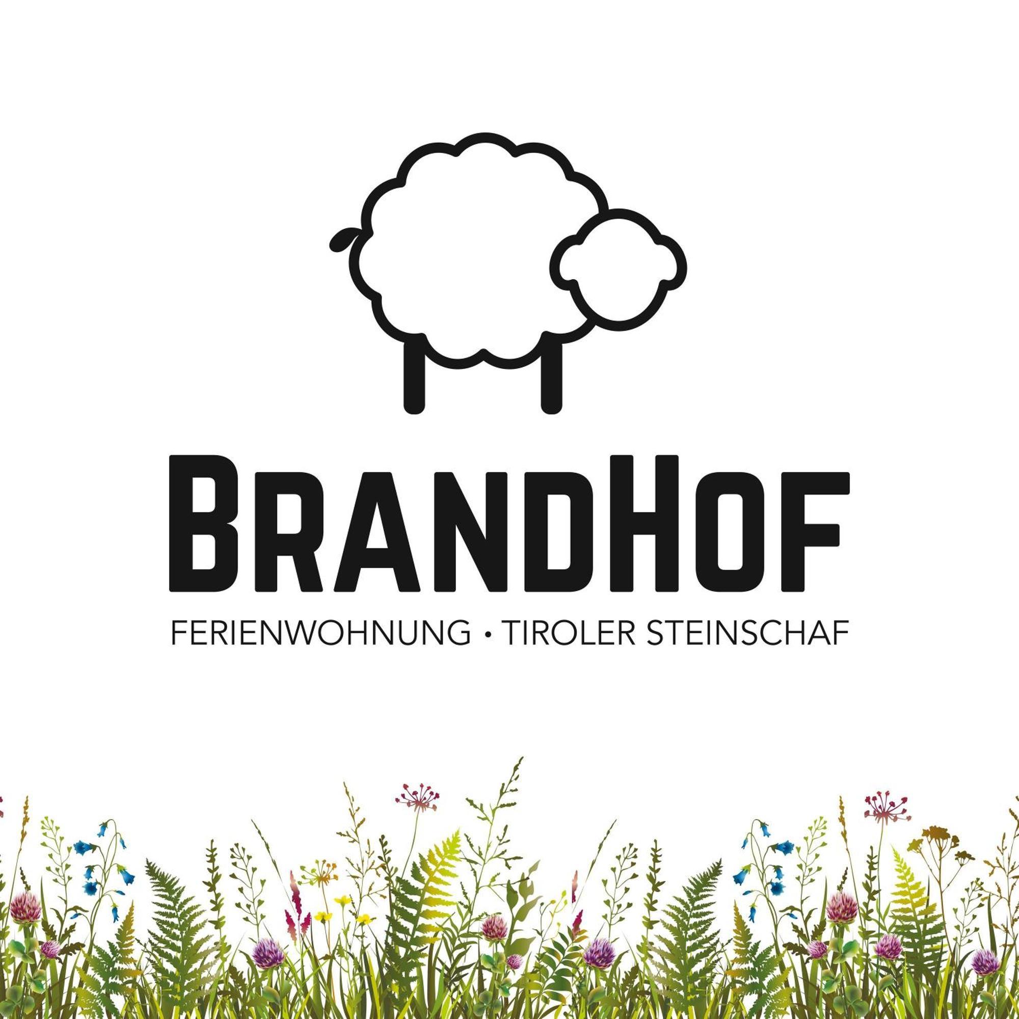 Brandhof Apartment Reith Exterior foto